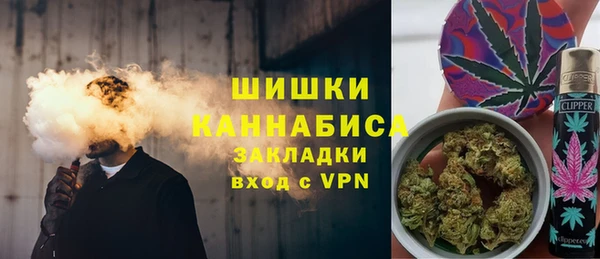 индика Аркадак