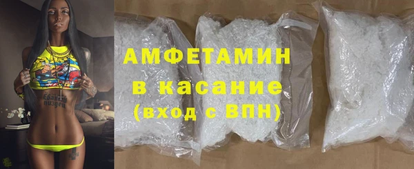 индика Аркадак