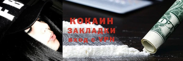 индика Аркадак