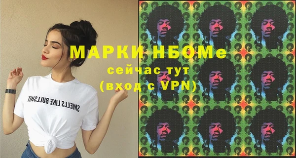 индика Аркадак