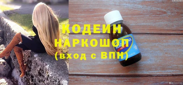 молекула духа Арсеньев