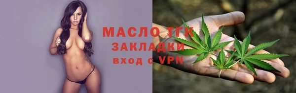 молекула духа Арсеньев