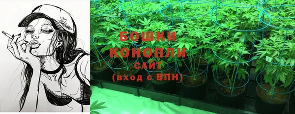 молекула духа Арсеньев