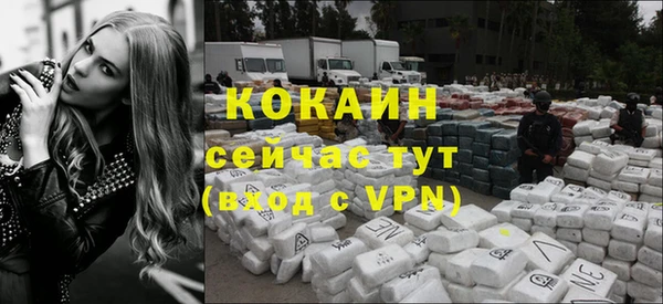 молекула духа Арсеньев