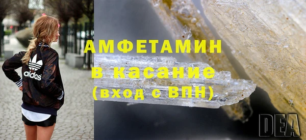 молекула духа Арсеньев