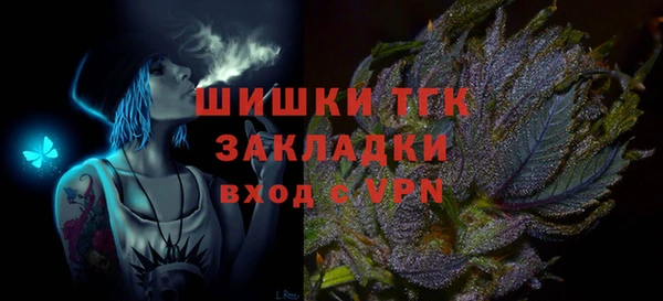 индика Аркадак