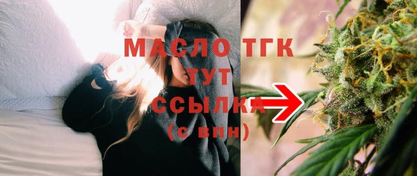 индика Аркадак