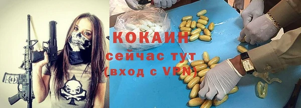 индика Аркадак