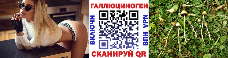 наркота  blacksprut ссылка  Псилоцибиновые грибы мухоморы  Джанкой 